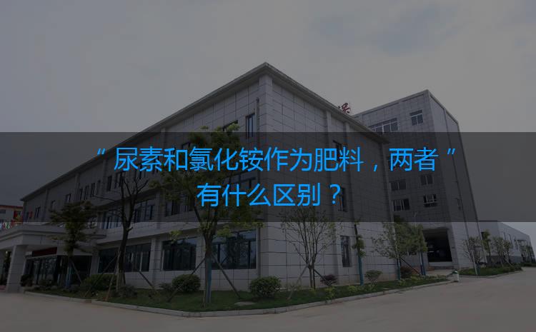 尿素和氯化铵作为肥料，两者有什么区别？